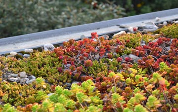 the cost of Crooked Soley green roof installation