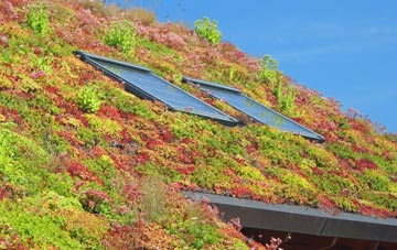 Crooked Soley living roof systems